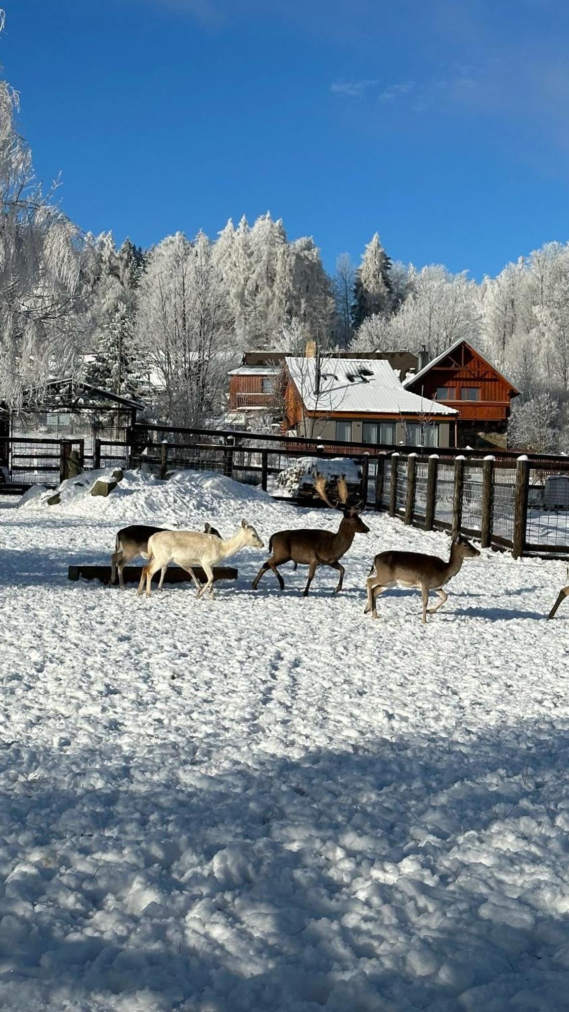 Farma Frantisek Hotel Stachy Buitenkant foto