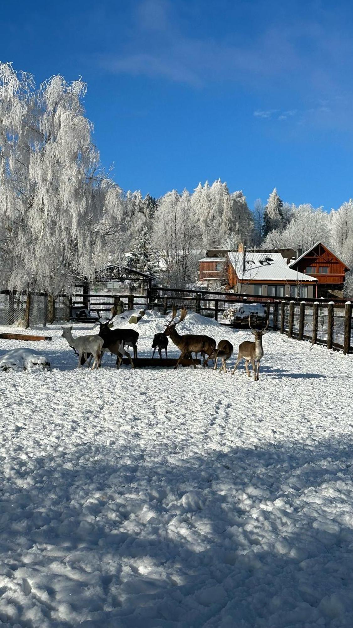Farma Frantisek Hotel Stachy Buitenkant foto