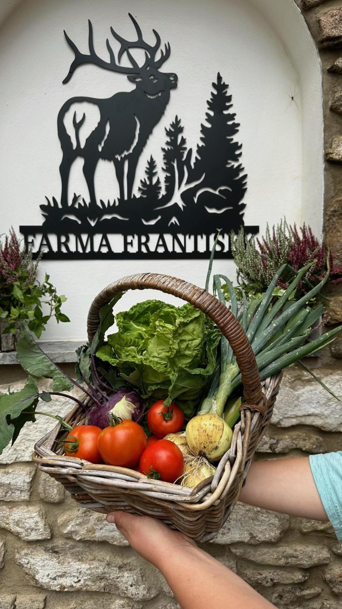 Farma Frantisek Hotel Stachy Buitenkant foto